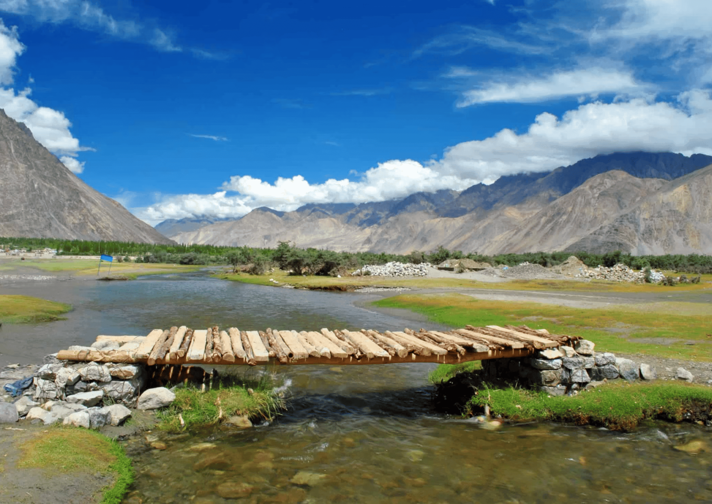 Sand dunes of Nubra Valley with Bactrian camels
