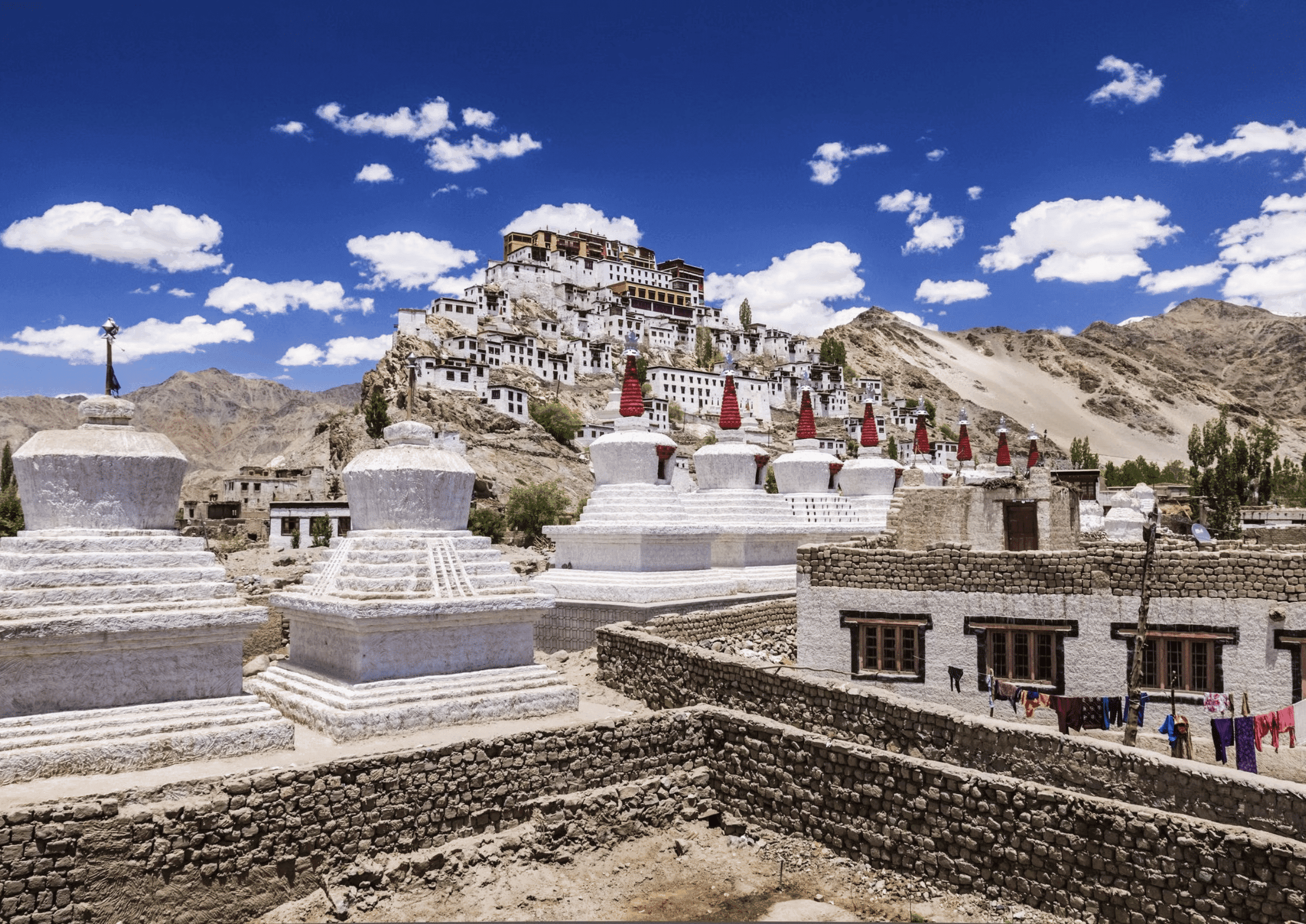 Sand dunes of Nubra Valley with Bactrian camels