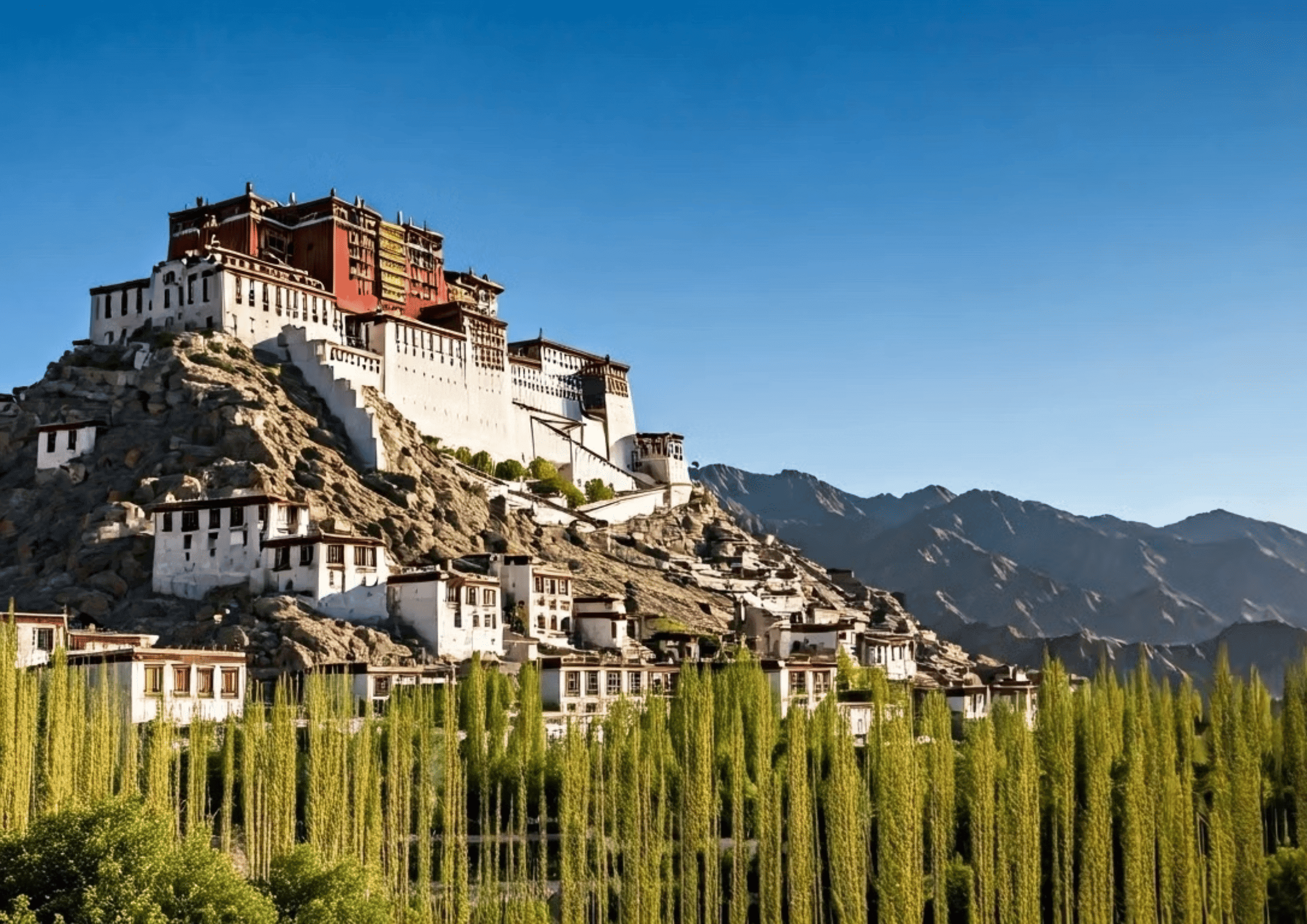 Sand dunes of Nubra Valley with Bactrian camels