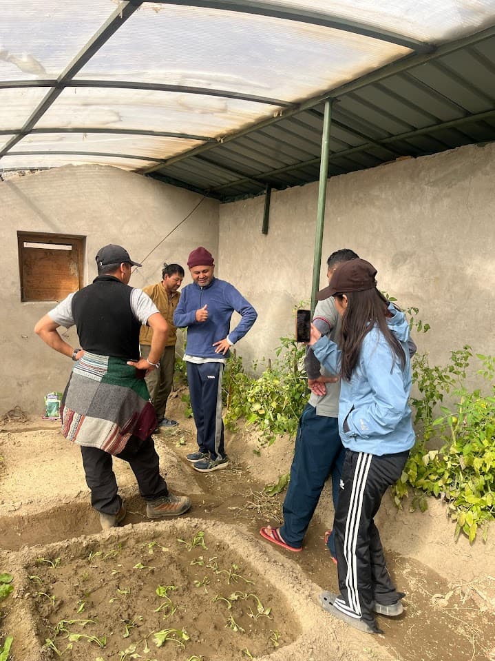 Farm-to-Table Cooking Classes