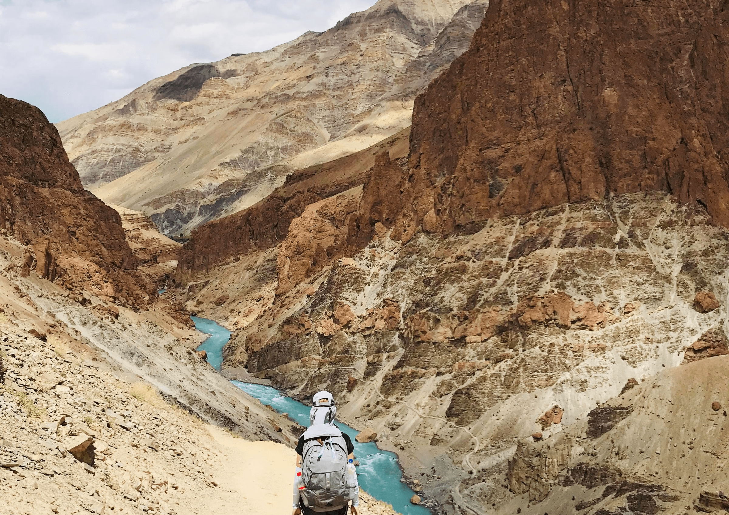 Colorful flowers in the Valley of Flowers
