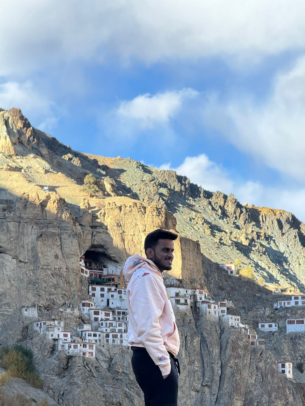 Alpine meadows with Himalayan backdrop