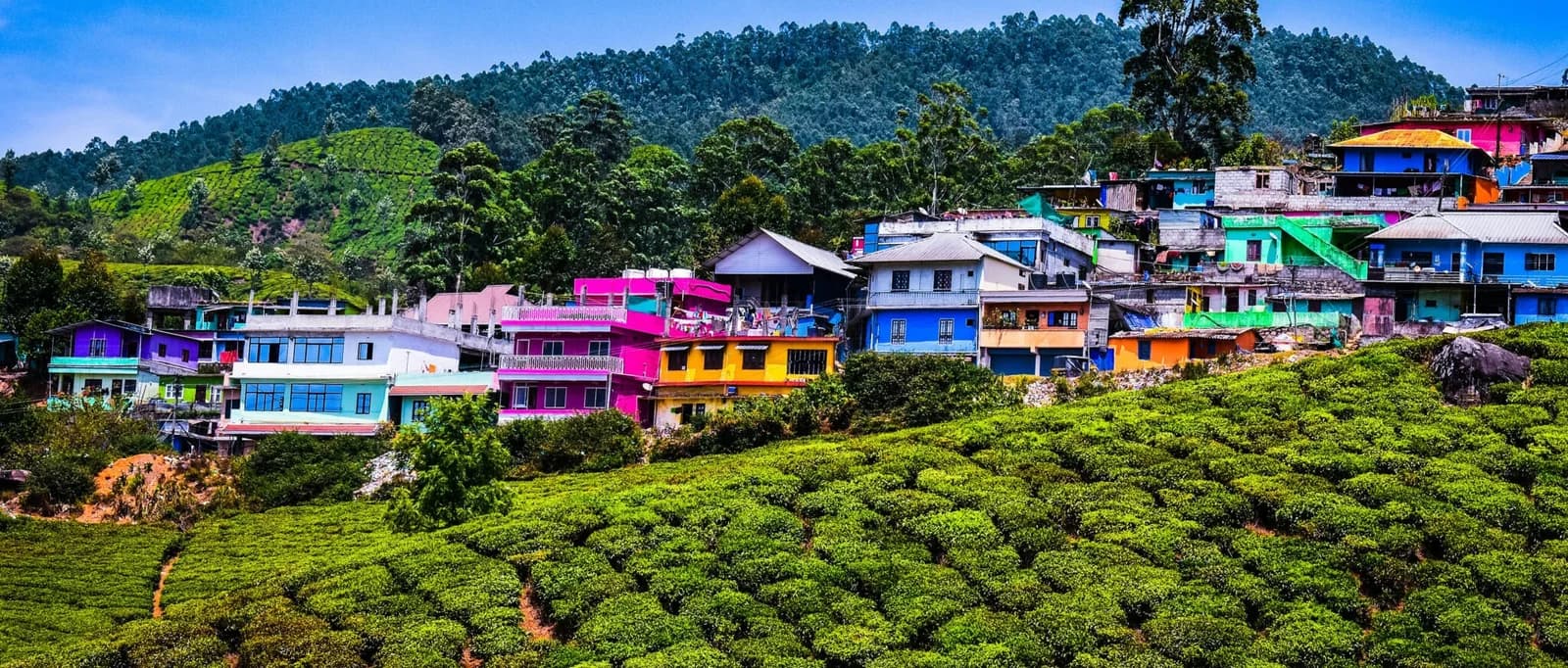 Hanle Observatory under starry skies